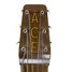 Rickenbacker Ace/6 LapSteel, Brown: Headstock