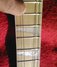 Rickenbacker 360/6 , Natural Walnut: Neck - Front