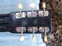 Rickenbacker B Post War/6 Electro, Black: Headstock - Rear