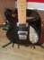 Rickenbacker 650/6 Colorado, Jetglo: Body - Front