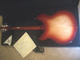 Rickenbacker 1998/6 PT, Fireglo: Full Instrument - Rear