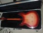 Rickenbacker 330/6 Mod, Fireglo: Full Instrument - Rear