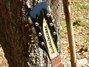 Rickenbacker 660/12 , Jetglo: Headstock