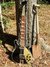 Rickenbacker 660/12 , Jetglo: Full Instrument - Front