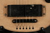 Rickenbacker 59/6 LapSteel, Cream: Close up - Free2