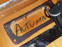 Rickenbacker 480/6 , Autumnglo: Close up - Free2