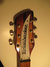 Rickenbacker 330/6 , Walnut: Headstock