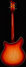 Rickenbacker 360/6 , Fireglo: Full Instrument - Rear