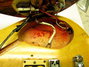 Rickenbacker 625/6 Mod, Mapleglo: Close up - Free2