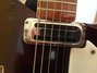 Rickenbacker 360/6 , Eggplant: Free image