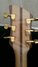 Rickenbacker 700/6 Comstock, Natural Maple: Headstock - Rear