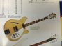 Rickenbacker 365/6 Mod, Mapleglo: Neck - Rear