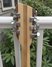 Rickenbacker 360/12 , Mapleglo: Headstock - Rear