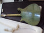 Rickenbacker 615/6 Mod, Green: Full Instrument - Rear