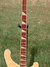 Rickenbacker 4003/4 , Mapleglo: Neck - Front