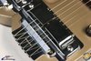 Rickenbacker D12/12 LapSteel, Copper: Body - Front