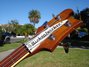 Rickenbacker 4001/4 Mod, Walnut: Headstock