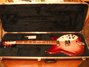 Rickenbacker 360/6 , Fireglo: Full Instrument - Front