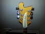 Rickenbacker 481/6 Slant Fret, Mapleglo: Headstock