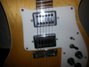 Rickenbacker 481/6 Slant Fret, Mapleglo: Close up - Free2