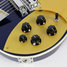 Rickenbacker 660/12 , Midnightblue: Free image