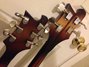 Rickenbacker 4080/10 BT, Autumnglo: Headstock - Rear