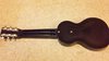 Rickenbacker BD/6 LapSteel, Black: Full Instrument - Rear