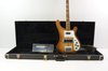 Rickenbacker 4001/4 Mod, Autumnglo: Free image