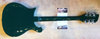 Rickenbacker 620/12 RIC Outlet One Off, British Racing Green: Full Instrument - Rear