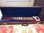 Rickenbacker 100/6 LapSteel, Burgundy: Full Instrument - Front