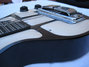 Rickenbacker B Post War/6 LapSteel, Black: Free image