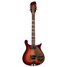 Rickenbacker 660/12 TP, Fireglo: Full Instrument - Front