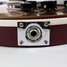 Rickenbacker 660/12 TP, Fireglo: Close up - Free