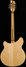 Rickenbacker 370/12 , Mapleglo: Full Instrument - Rear