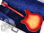 Rickenbacker 360/12 , Fireglo: Full Instrument - Rear