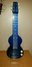 Rickenbacker Ace/6 Refin, Blue: Full Instrument - Front