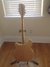 Rickenbacker 370/12 RM, Mapleglo: Full Instrument - Rear