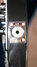 Rickenbacker 330/12 , Jetglo: Free image