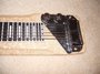 Rickenbacker 100/6 LapSteel, Gray: Close up - Free2