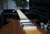 Rickenbacker 650/6 Dakota, Natural Walnut: Neck - Front