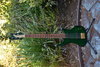 Rickenbacker 4004/5 Cii, Trans Green: Full Instrument - Front