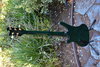 Rickenbacker 4004/5 Cii, Trans Green: Full Instrument - Rear