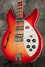 Rickenbacker 1993/12 Plus, Fireglo: Close up - Free2