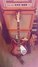 Rickenbacker 360/6 WB VP, Fireglo: Full Instrument - Front