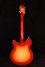 Rickenbacker 1993/12 Plus, Fireglo: Full Instrument - Rear