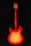 Rickenbacker 1993/12 Plus, Fireglo: Full Instrument - Rear