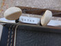 Rickenbacker 100/6 LapSteel, Two tone brown: Free image2