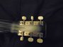 Rickenbacker 59/6 LapSteel, Gray: Headstock - Rear