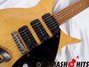 Rickenbacker 320/6 BH BT, Mapleglo: Close up - Free2