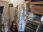 Rickenbacker 360/12 , Mapleglo: Headstock